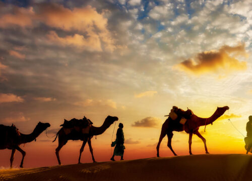 Silk Road Heritage Tour