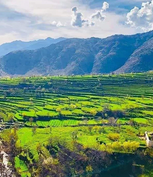 Nangarhar