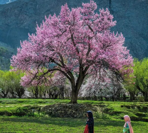 Takhar