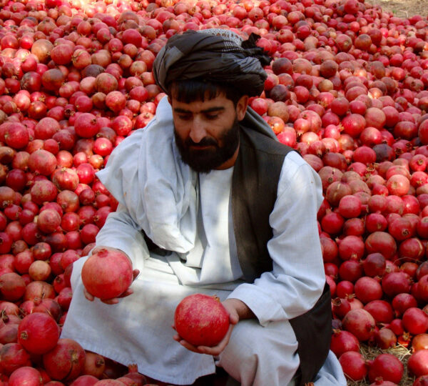 Kandahar