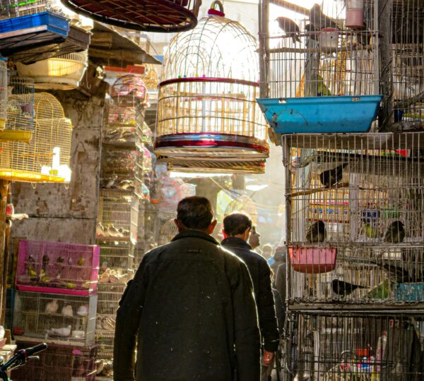 Kabul